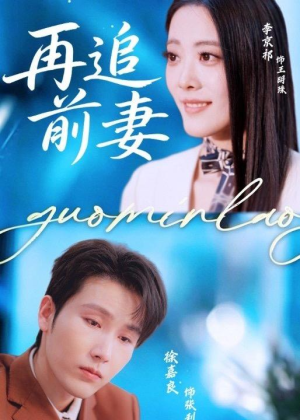 再追前妻短剧（49集情感短剧完整版在线畅享）
