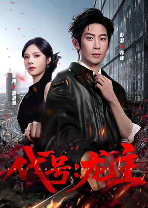 代号：龙主短剧（70集谍战短剧完整高清在线观看）