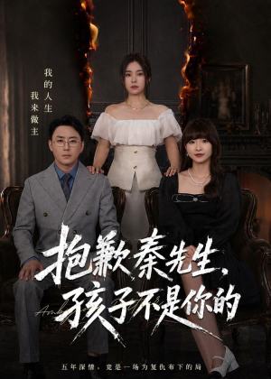 抱歉秦先生，孩子不是你的短剧（53集都市情感短剧免费看全集）