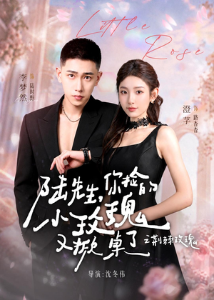 太子爷的小玫瑰又掀桌了短剧（68集甜宠短剧精彩全集免费看）