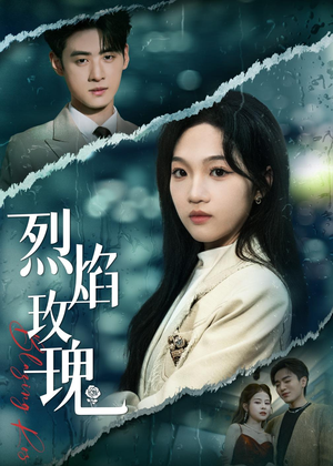 烈焰玫瑰短剧（37集都市爱情短剧全集在线免费看）