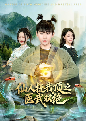 仙人抚我顶之医武双绝短剧（66集武侠短剧高清在线免费观看）