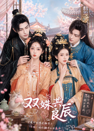双姝共良辰短剧（50集古装短剧在线观看完整版）