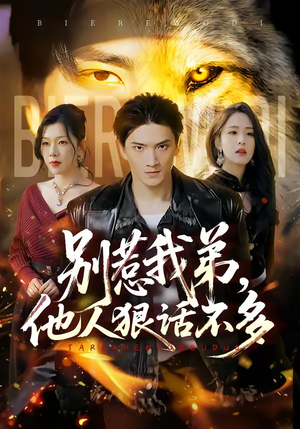 别惹我弟，他人狠话不多短剧（40集动作爽剧全集高清观看）