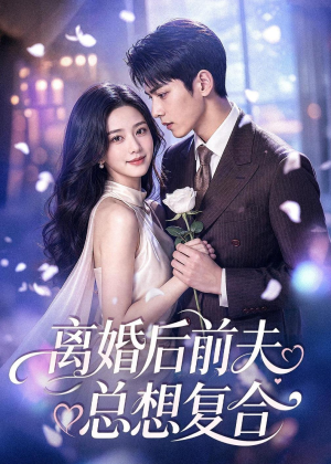 离婚后前夫总想复合短剧（72集情感短剧在线免费看全集）