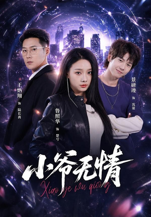 小爷无情短剧（75集武侠短剧超清全集免费看）