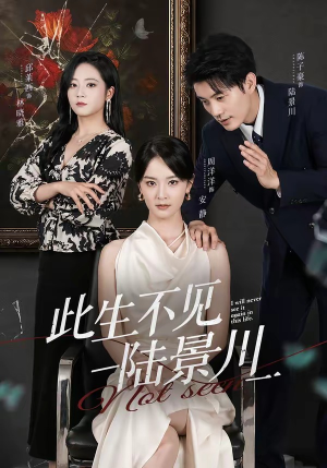 此生不见陆景川短剧（66集都市虐恋短剧在线观看完整版）