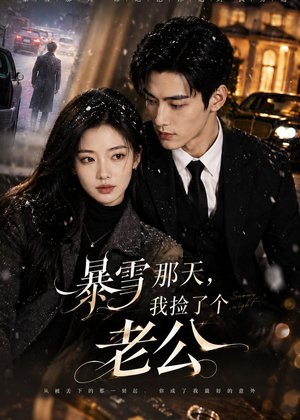暴雪那天，我捡了个老公短剧（58集爱情短剧高清全集免费看）