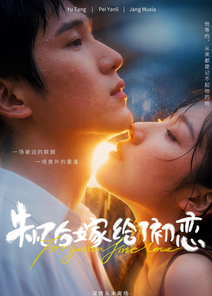 失忆后嫁给了初恋短剧（10集都市短剧全集免费在线观看）