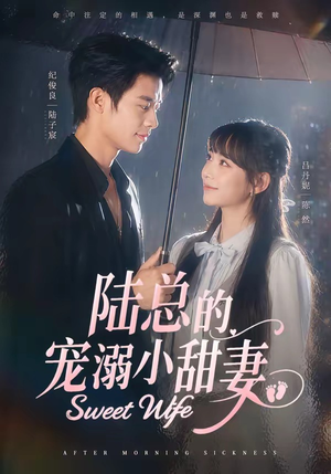 陆总的宠溺小甜妻短剧（61集都市甜宠短剧免费看全集版）