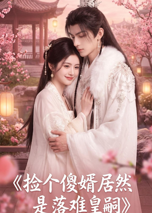 捡个傻婿居然是落难皇嗣短剧（35集古装短剧高清全集在线看）