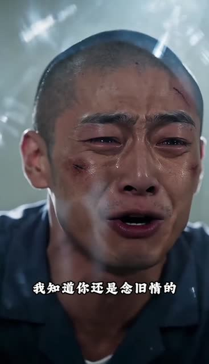 借车风波：端午归途我看清了人心短剧（50集情感短剧完整版在线看）