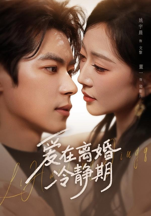 爱在离婚冷静期短剧（73集都市短剧高清无删减在线看）