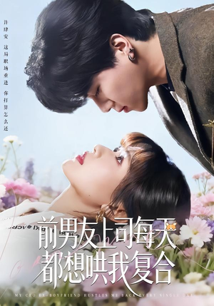 前男友上司每天都想哄我复合短剧（77集职场甜宠短剧在线免费看全集）
