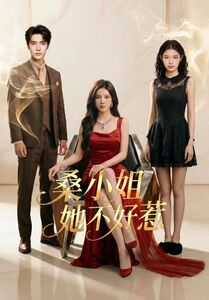 桑小姐她不好惹短剧（103集都市商战短剧在线免费看全集）