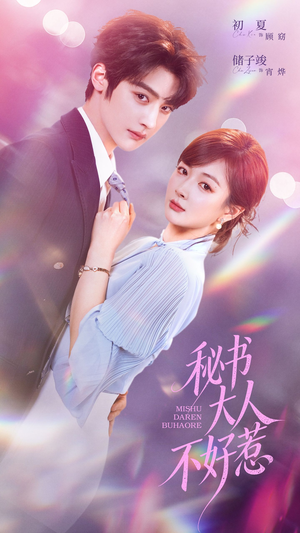 秘书大人不好惹短剧（62集职场短剧全集在线高清看）