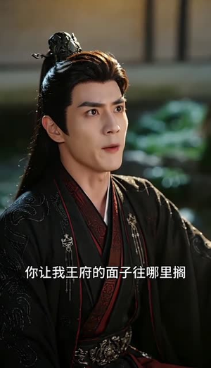 温锦重生记：王妃她医武双绝短剧（89集古装短剧全集在线观看）