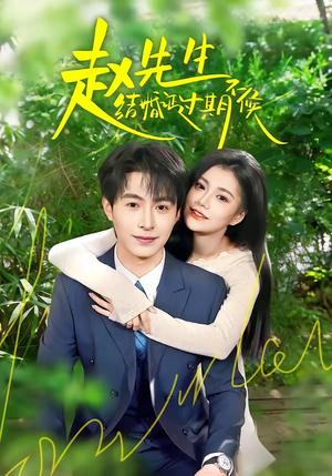 赵先生结婚证过期不候短剧（50集现代短剧全集在线看）