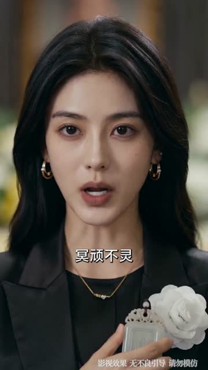 父亲葬礼当天，我在高铁叫停弟弟婚事短剧（59集家庭短剧免费看全集无广告）