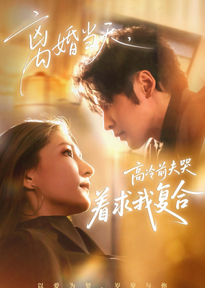 离婚当天，高冷前夫哭着求我复合短剧（77集都市短剧高清无广告观看）