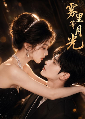 雾里等月光短剧（80集情感题材短剧免费看高清版）
